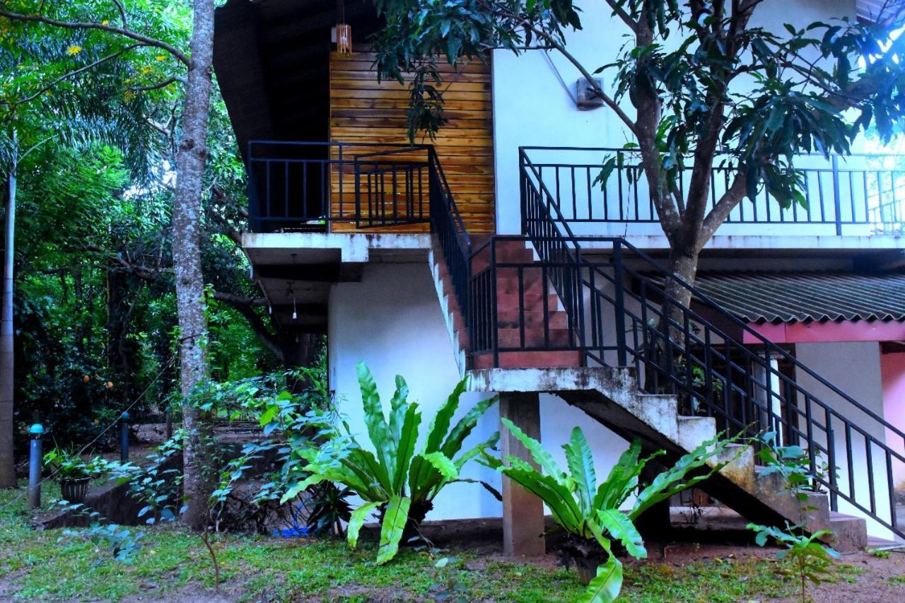 Wild Heaven Udawalawe Hotel Екстериор снимка