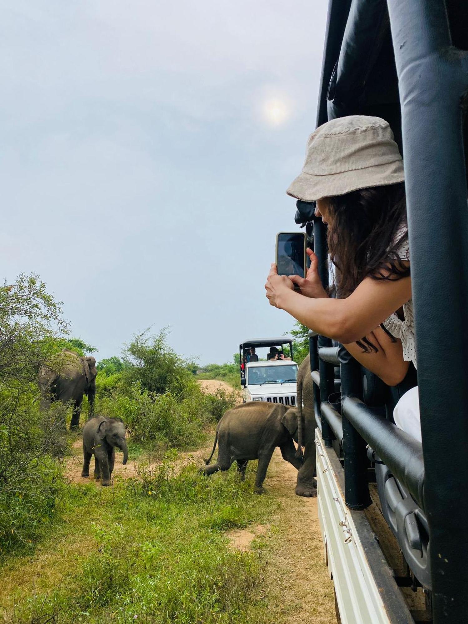 Wild Heaven Udawalawe Hotel Екстериор снимка