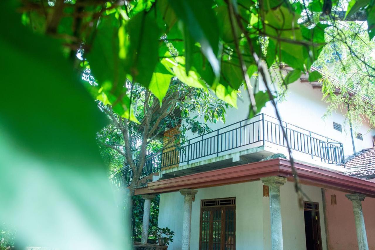Wild Heaven Udawalawe Hotel Екстериор снимка