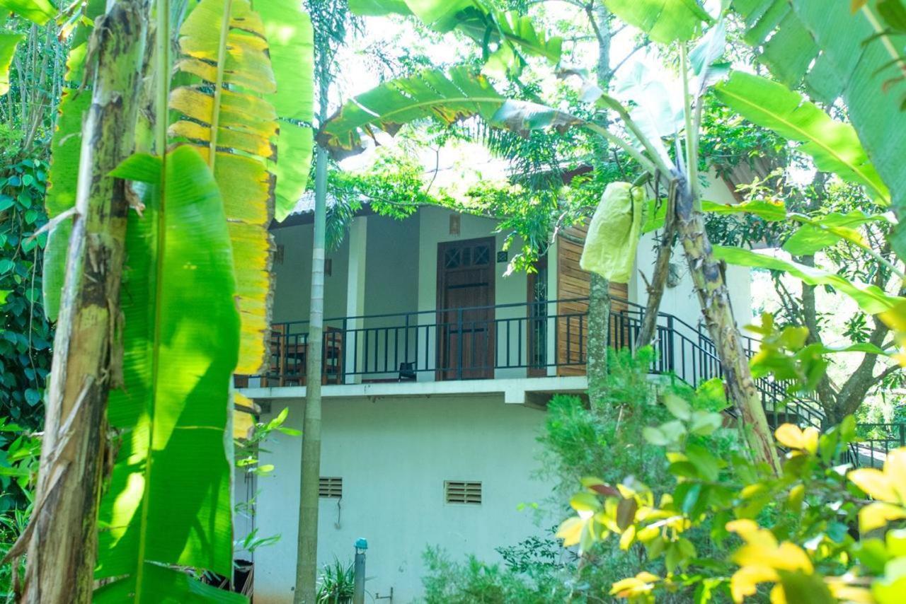 Wild Heaven Udawalawe Hotel Екстериор снимка
