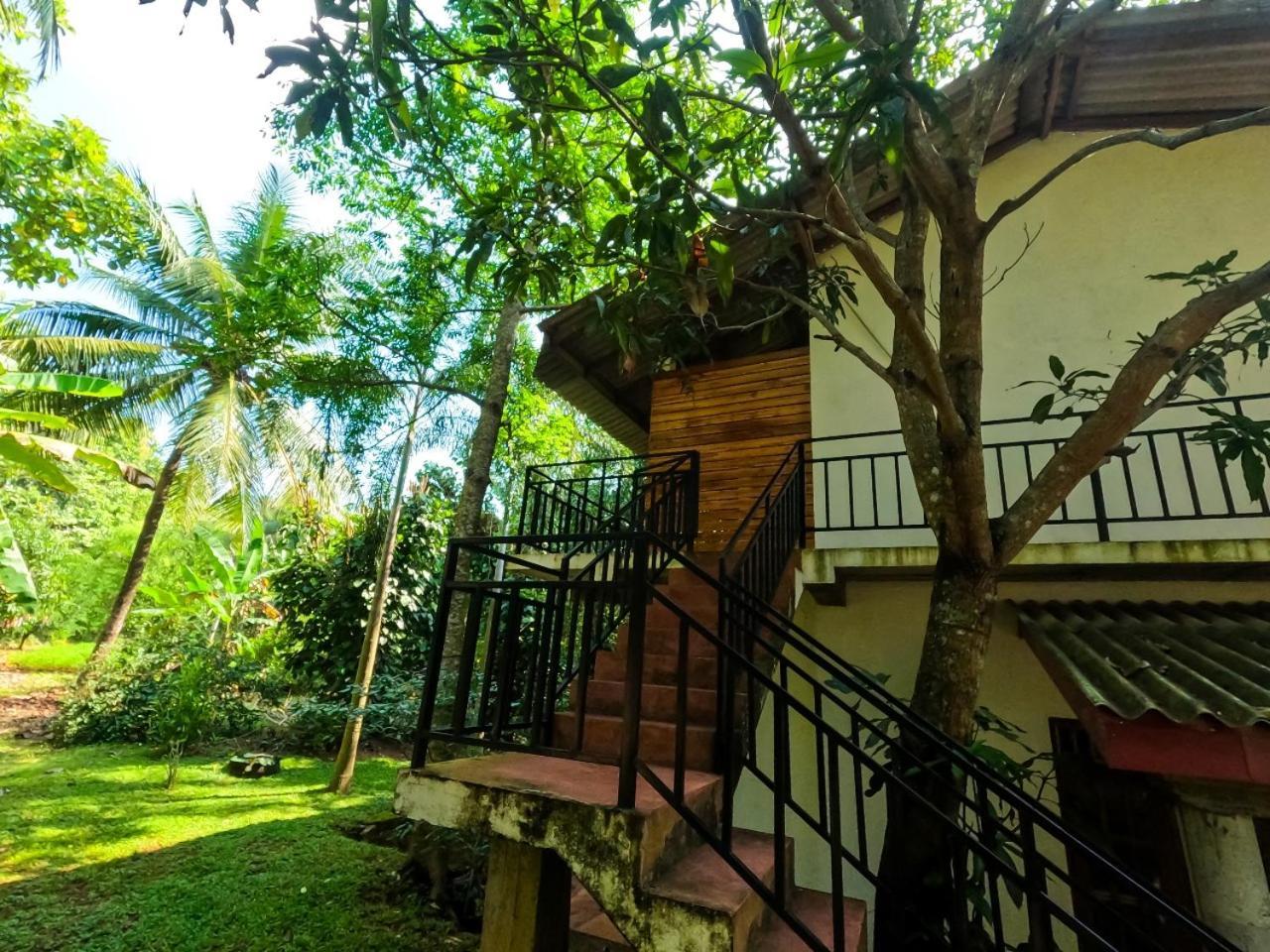 Wild Heaven Udawalawe Hotel Екстериор снимка