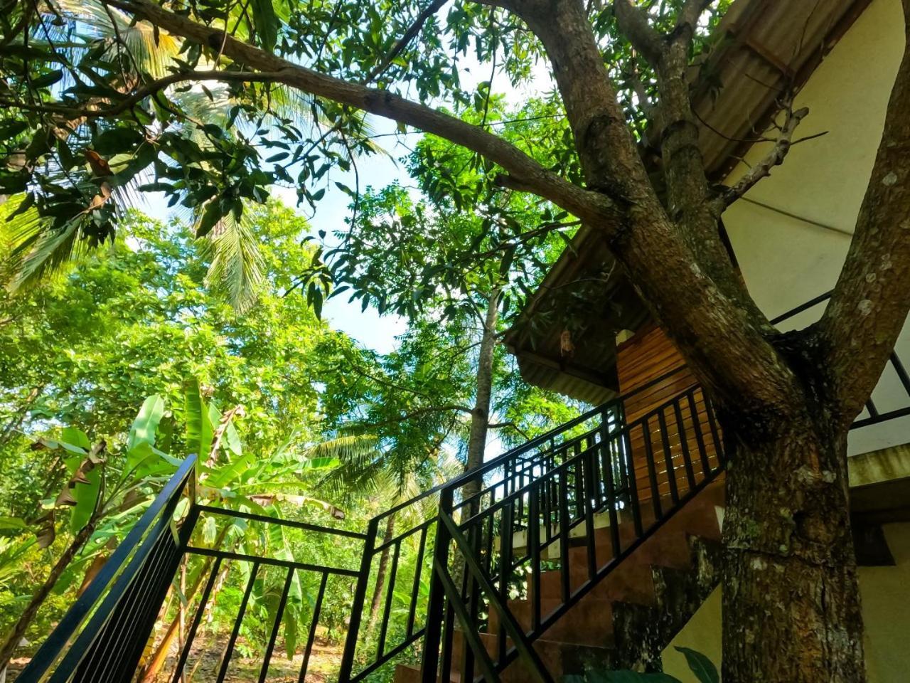 Wild Heaven Udawalawe Hotel Екстериор снимка