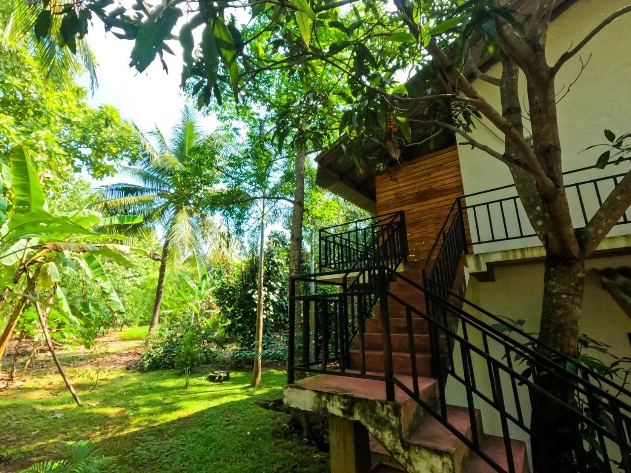 Wild Heaven Udawalawe Hotel Екстериор снимка