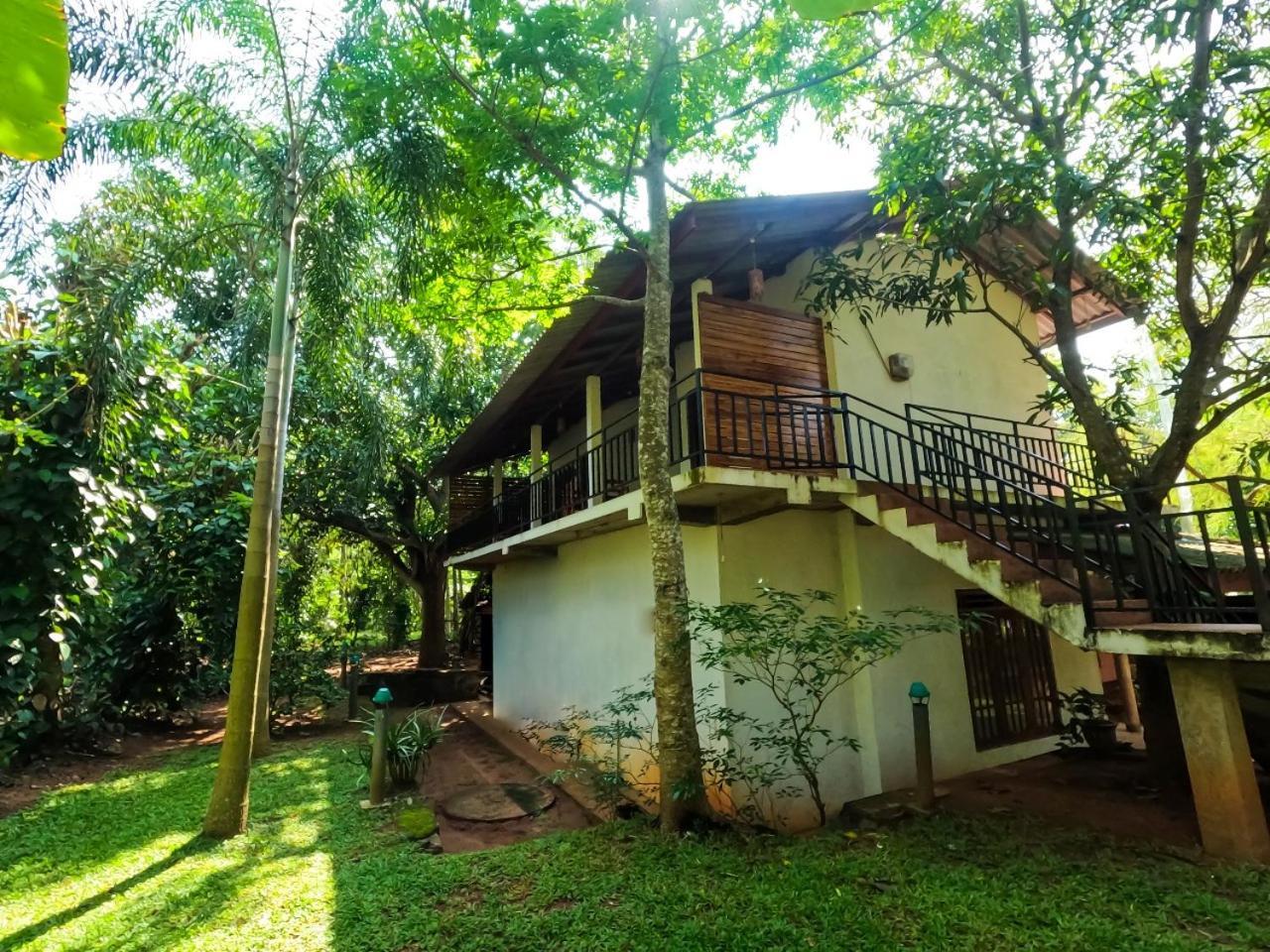 Wild Heaven Udawalawe Hotel Екстериор снимка