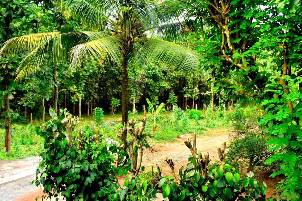 Wild Heaven Udawalawe Hotel Екстериор снимка